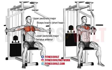 How To Use A Chest Fly Machine Proper Form Variations And Common