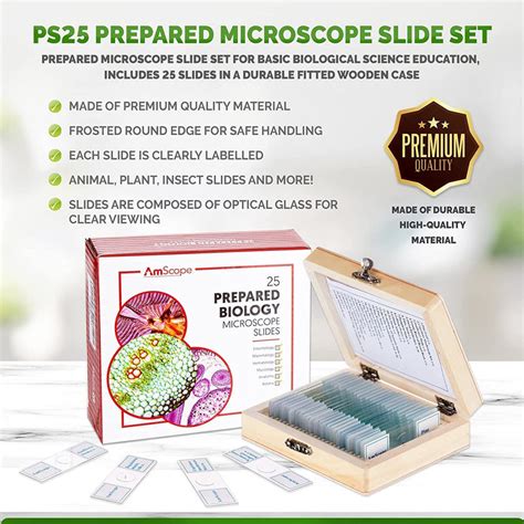 Amscope Ps25w Prepared Microscope Slide Set For Basic Biological