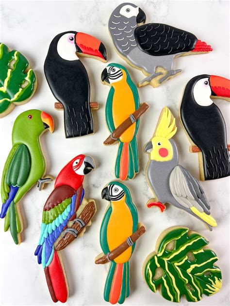 Toucan Macaw Parrot Cockatiel Tropical Birds 3D Printed - Etsy