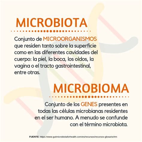 Microbiota intestinal y Esclerosis Múltiple EMforma