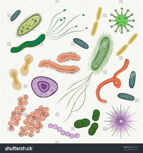 Bacteria Virus Germs Icon Set Stock Vector Royalty Free