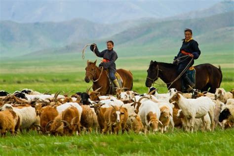 Nomadic Culture In Mongolia Balancing Tradition And Modernity Mongolianz