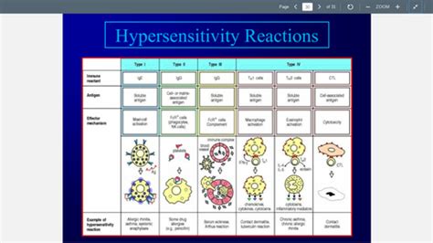 Immunity And Hypersensitivity Flashcards Quizlet