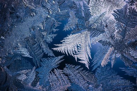 Frost On Window by JoniNiemela on DeviantArt