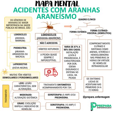 Mapas Mentais Essenciais Pra Quem Estuda Emerg Ncia E Urg Ncia Mapa