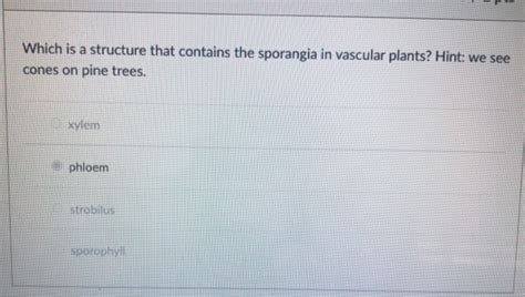 Solved Which is a structure that contains the sporangia in | Chegg.com