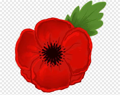 Royal British Legion Poppy Clipart Images