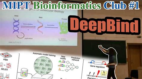 Mipt Bioinformatics Club 1 Deepbind Predicting The Sequence Specificities Of Binding