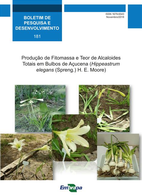 PDF Produção de Fitomassa e Teor de Alcaloides Totais em Bulbos de