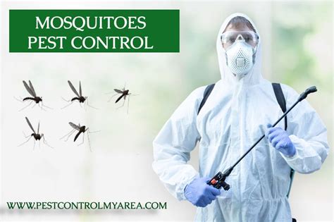 Mosquitoes Pest Control Services Removal Exterminator