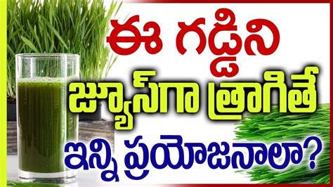 Health Benefits Of Wheatgrass Juice Ii Telugu Health Tips Ii For Skin