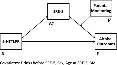 Conceptual Diagram Of Conditional Process Model A Conceptual Diagram