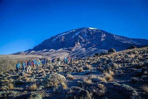 6 Day Rongai Route Trek In Mount Kilimanjaro