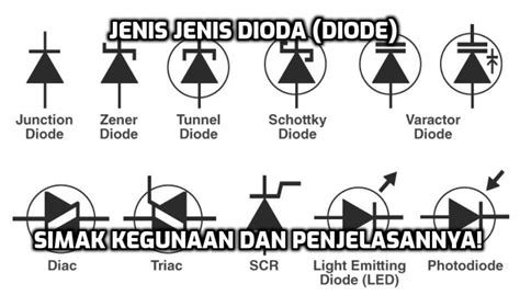 12 Jenis Jenis Dioda Diode Lambang Fungsi Serta Penjelasannya Hot Sex