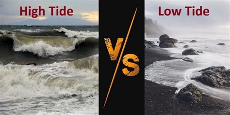 High Tide Vs. Low Tide: What Are The Differences? – Difference Camp