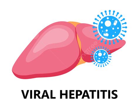 Hepatitis Clipart Vector Viral Hepatitis A Liver Hepatic Medical