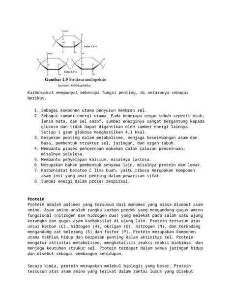 Doc Struktur Dan Fungsi Makromolekul Karbohidrat Dokumentips