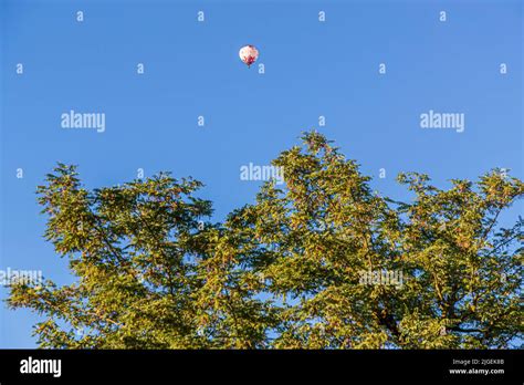 Hot Air Balloon Behind Tree Hi Res Stock Photography And Images Alamy