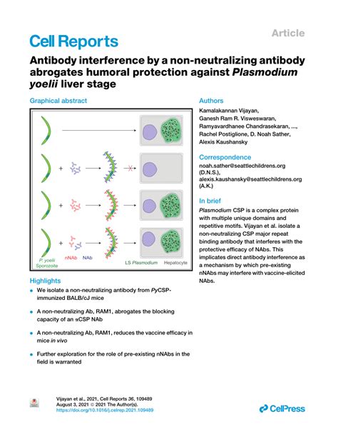 Pdf Antibody Interference By A Non Neutralizing Antibody Abrogates