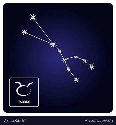icons  taurus zodiac sign  constellation vector image