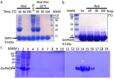 Recombinant Protein Expression And Purification For Use As Biopanning