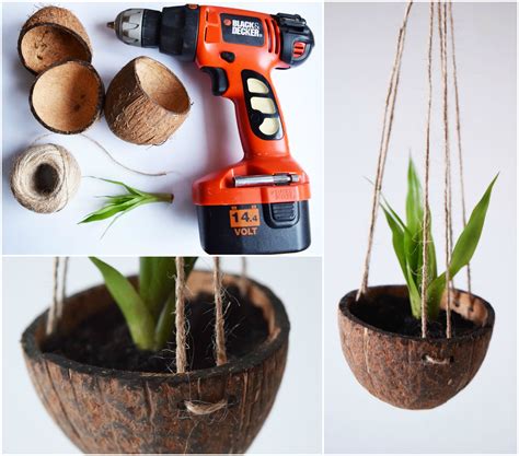 Coconut Shell Plant Holder Plant Bowl For Your Flower Plant Decor