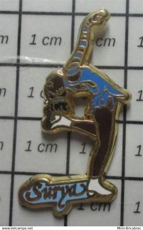 Patinage Artistique B Pin S Pins Beau Et Rare Sports