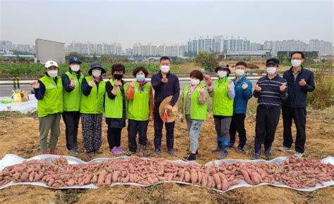 신방동 행복키움지원단 햇고구마 나눔행사 실시c뉴스041 충남지역 인터넷신문천안시 아산시 예산군 홍성군 당진시