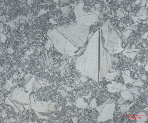 Silicon Carbide (SiC) - Metallography with Neel