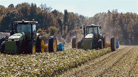 Sweet Potato Equipment Parts FARMERS HARVEST INC