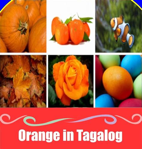 Orange In Tagalog Filipino Parenting Orange Tagalog Pumpkin Orange