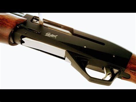 Мр 155 20 Калибра Фото – Telegraph