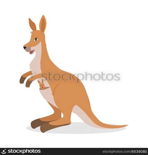 Kangaroo with Joey Baby in Pouch Isolated on White. Kangaroo isolated ...