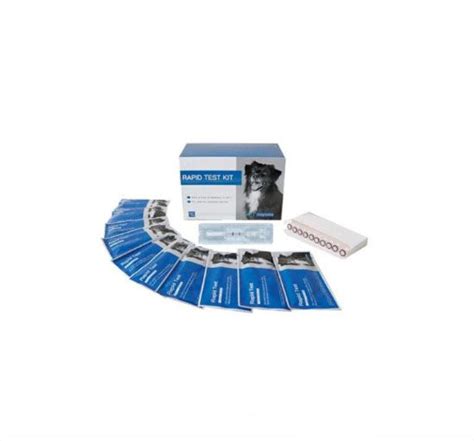 Canine Parvo Distemper Virus Antibody Rapid Test Canine Distemper