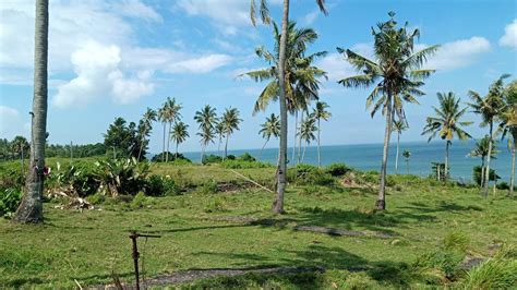 Balian Beachfront Land Sale 167 Are Investing In Bali Starts With