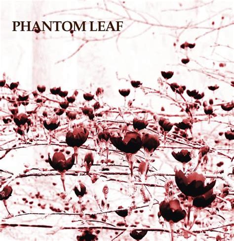 Phantom Leaf Phantom Leaf 2011 Cdr Discogs