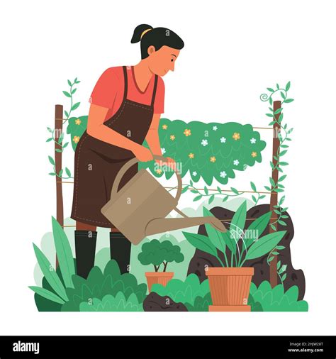 Woman Watering Plants Stock Vector Images Alamy