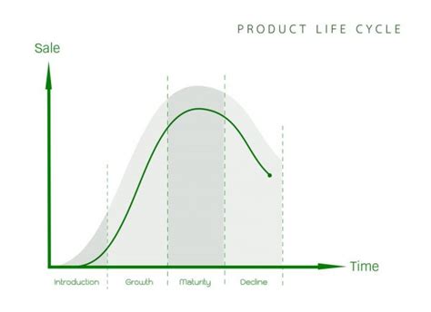 Marketing Concept Of Product Life Cycle Graph Chart Stock Vector