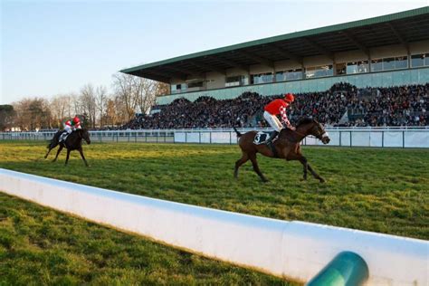 Programme Animations Hippodrome De Pau