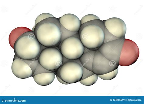 Testosterone A Primary Sex Hormone In Men And An Anabolic Steroid