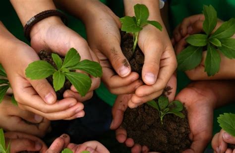 Importancia De La Biodiversidad