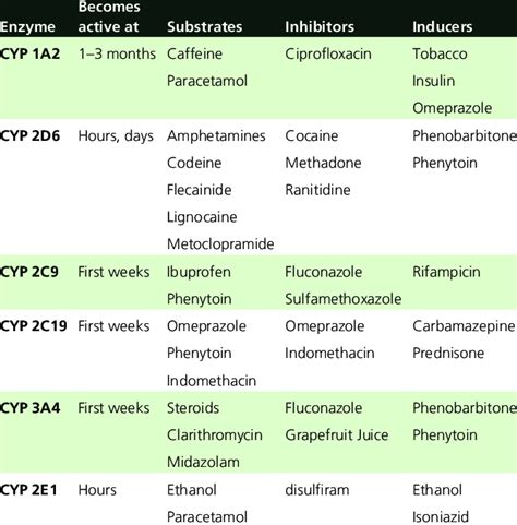 P450 Enzyme