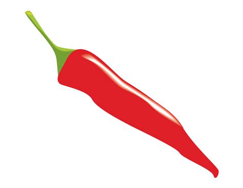 fresh chili pepper vegetable 10437141 Vector Art at Vecteezy