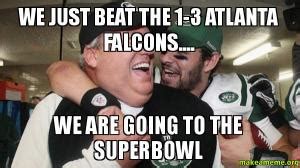 Atlanta falcons super bowl Memes