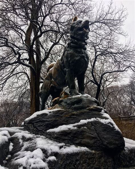 Balto Statue in Central Park NYC. | Central park nyc, Nyc aesthetic ...