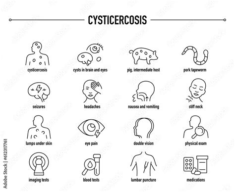 Cysticercosis Symptoms Diagnostic And Treatment Vector Icon Set Line