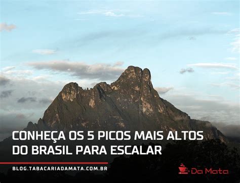 Qual O Maior Pico Do Brasil - Maior Pico Do Brasil - FDPLEARN