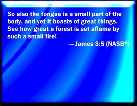 James 3:5 Even so the tongue is a little member, and boasts great ...