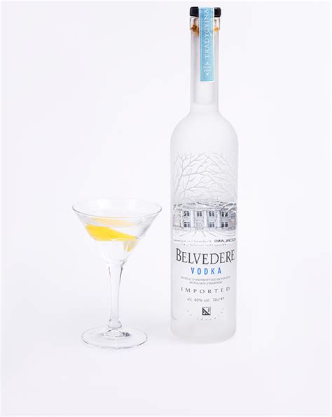 Belvedere Dirty Martini Prike