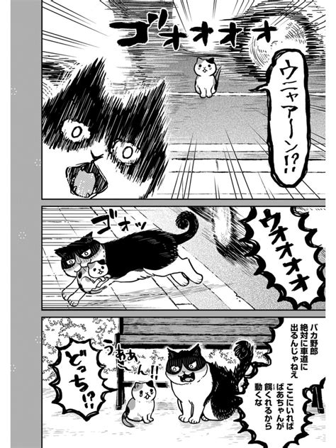 創作】ボス猫ハチと子猫のミケ ツレ猫マルルとハチ マルルとハチ 」園田ゆり マルルとハチ6巻の漫画